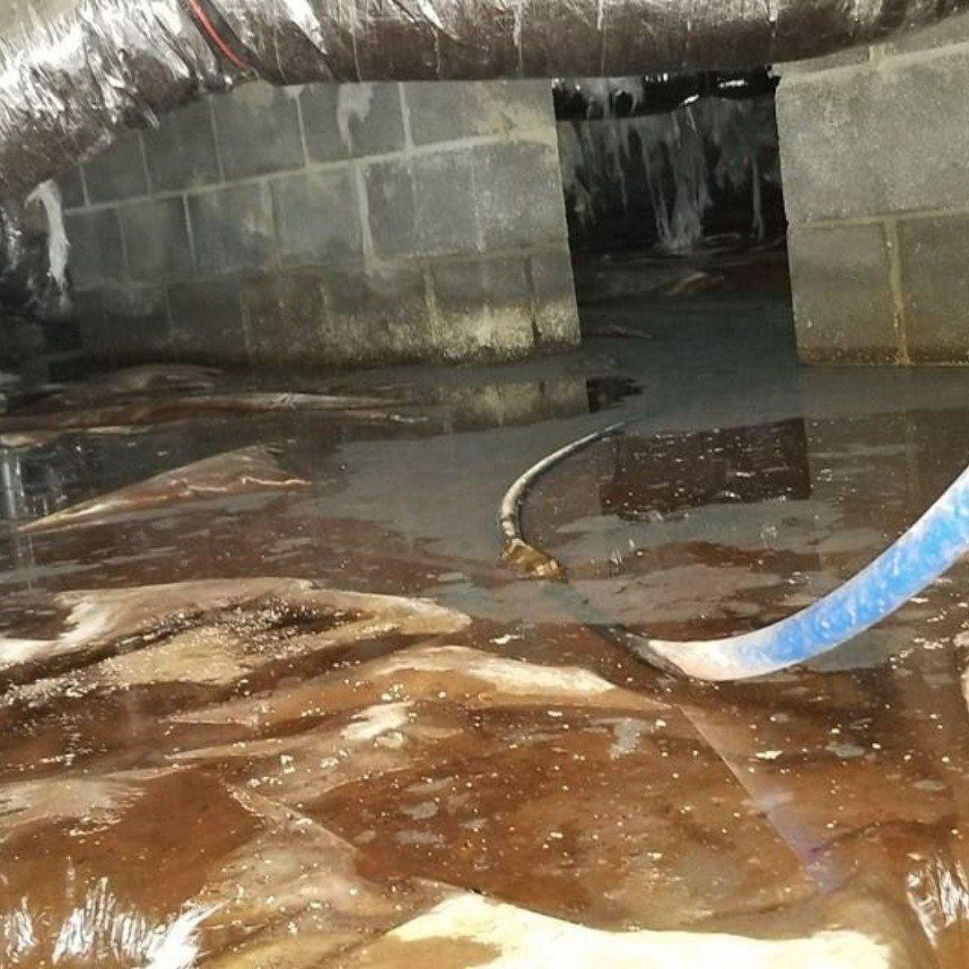 Flooded basement with muddy water, concrete walls, and a blue hose in the foreground