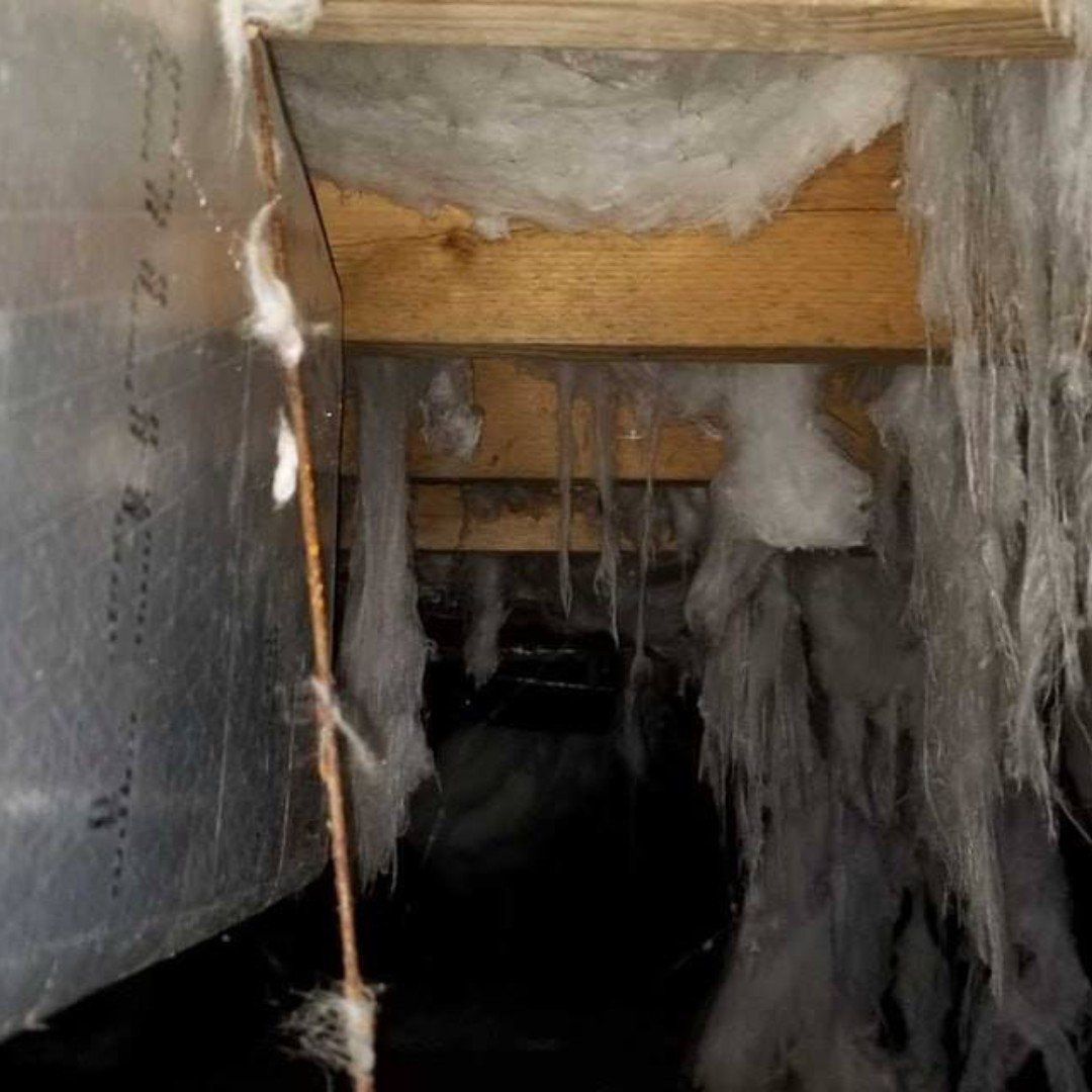 Narrow crawl space with hanging insulation and wooden beams, dark opening in the center.