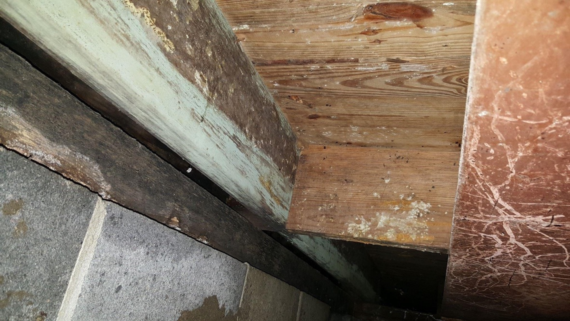 Close-up of weathered wooden boards and concrete corner with a dark gap between them.