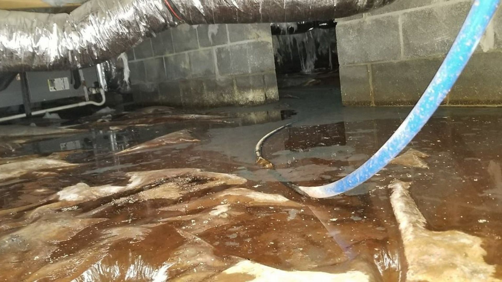 Flooded crawl space with standing water, pipes, and a blue hose under the floor joists