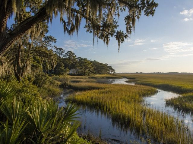 Marsh view in Johns Island, South Carolina — area served by Lowcountry Crawlspaces