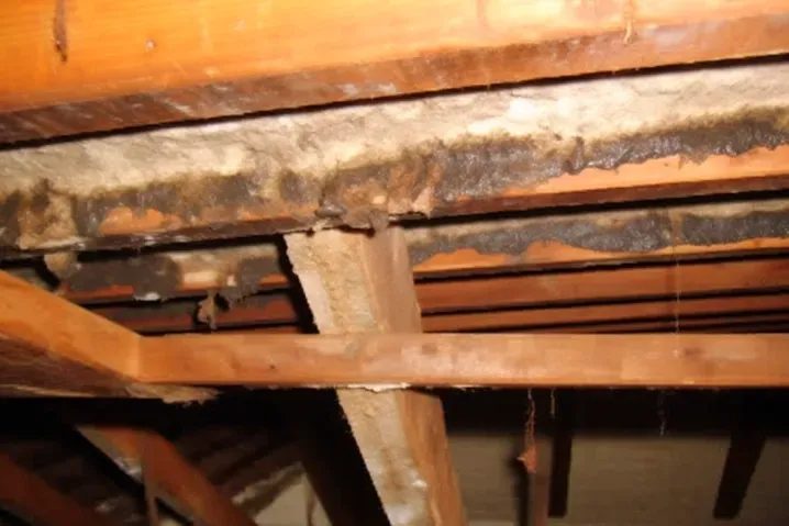 Damp crawl space with elevated moisture conditions