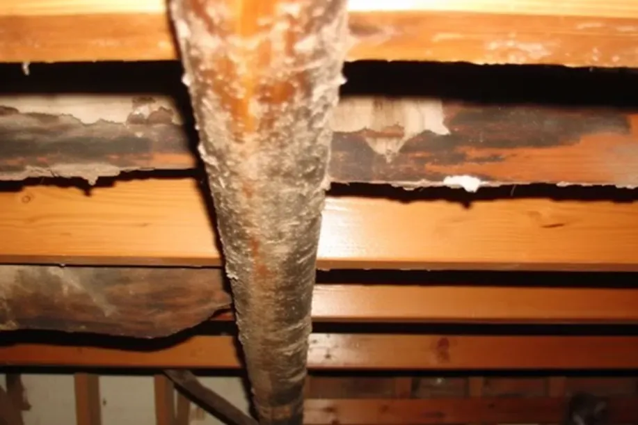 Wood rot visible on crawl space framing