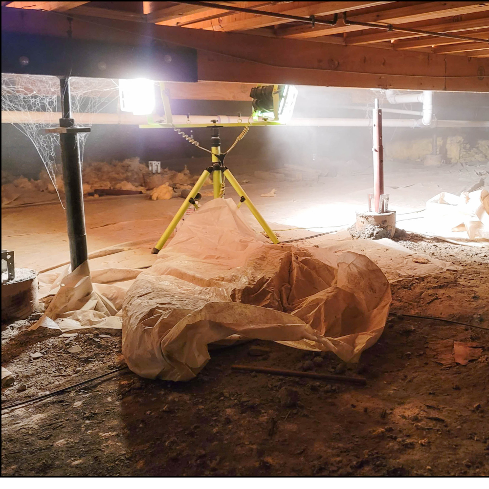 Damaged unprotected crawlspace with standing water and moisture damage after a Charleston storm