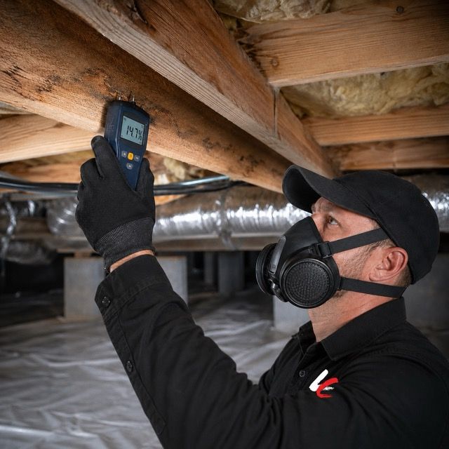 Technician testing a crawl space floor joist with a moisture meter during a CL-100 inspection