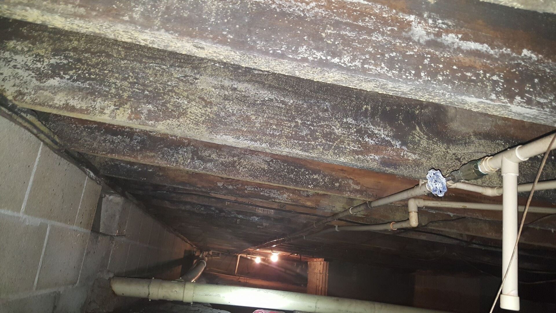 Low crawl space with exposed beams, pipes, and a small light in the distance.