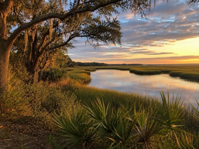 Lowcountry landscape in West Ashley, South Carolina — area served by Lowcountry Crawlspaces