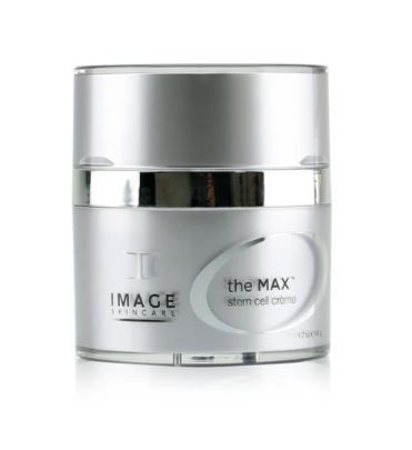 Silver cosmetic jar labeled “the MAX” with a reflective band and IMAGe logo