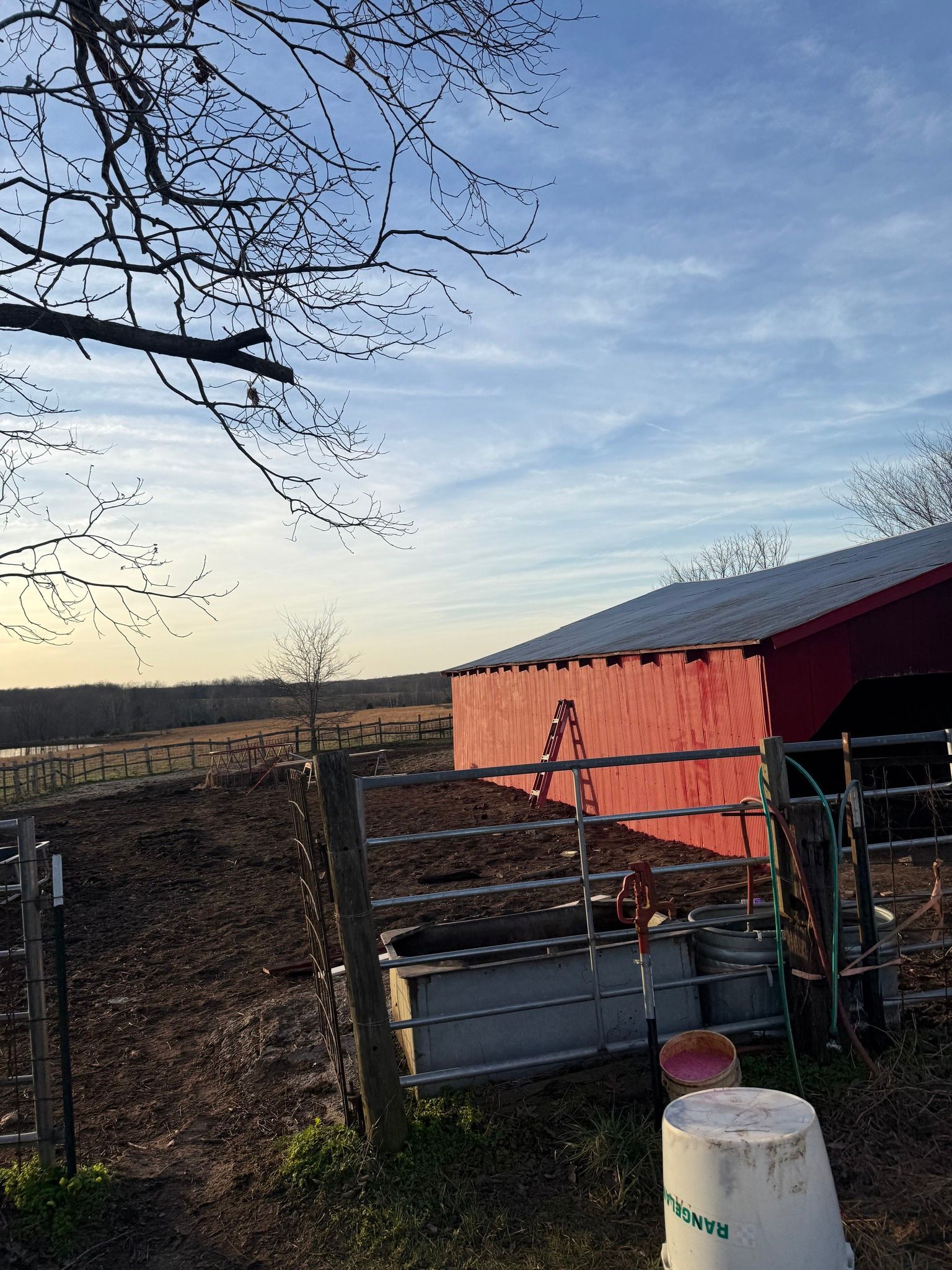 A red barn stands in a fenced rural field under a bright blue sky at sunset, with a white bucket in the foreground.