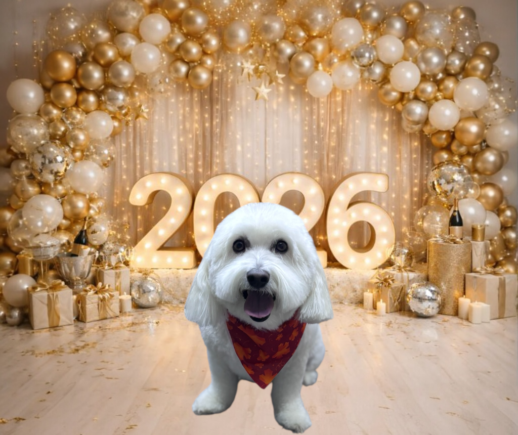 A white dog wearing a red patterned bandana poses in front of gold balloons and glowing numbers reading 2026.