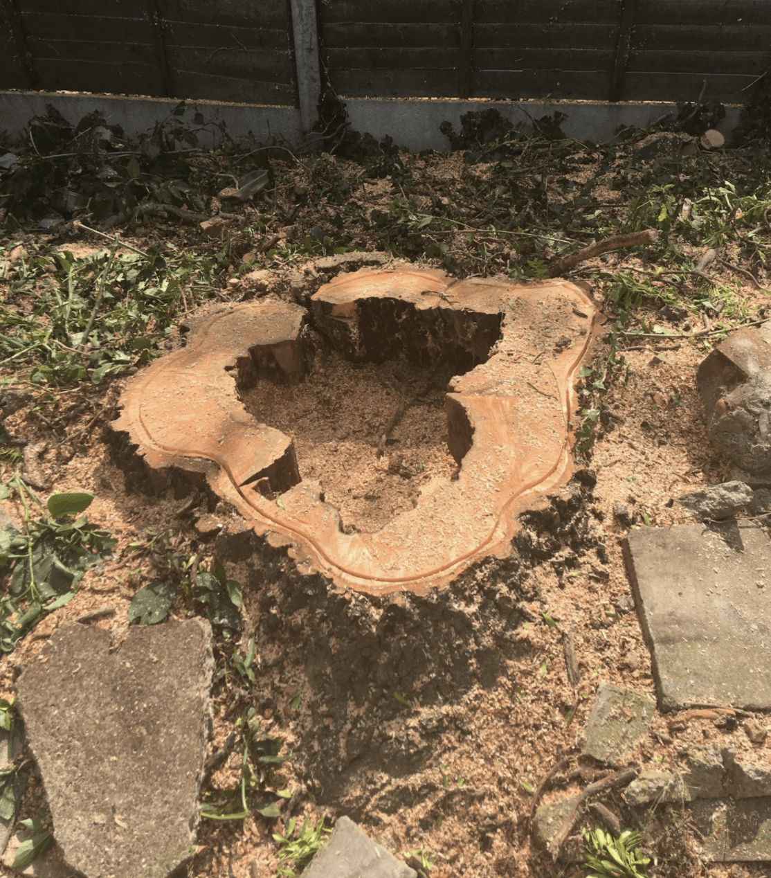 Vegetation Control