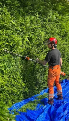 Hedge Maintenance