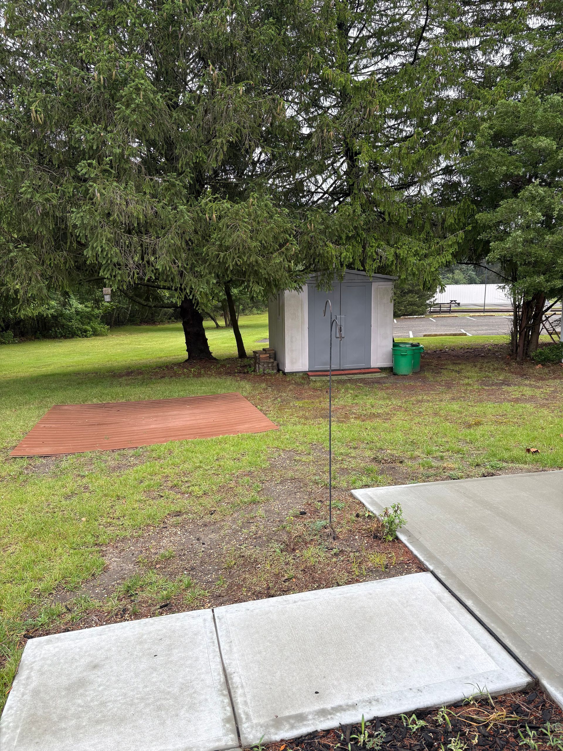 Backyard with a gray shed, green grass, trees, and concrete slabs.