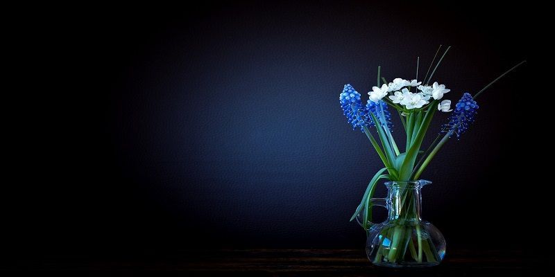 cremation service in Evanston IL