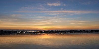 cremation service in Evanston, IL