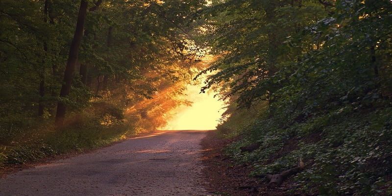cremation service in Evanston, IL