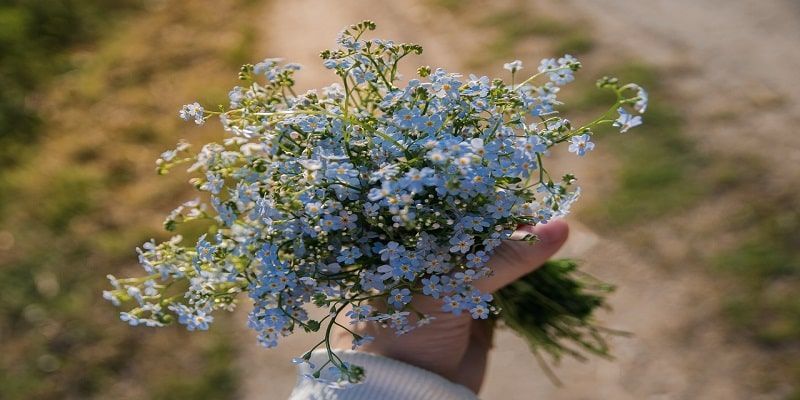cremation service in Glenview, IL
