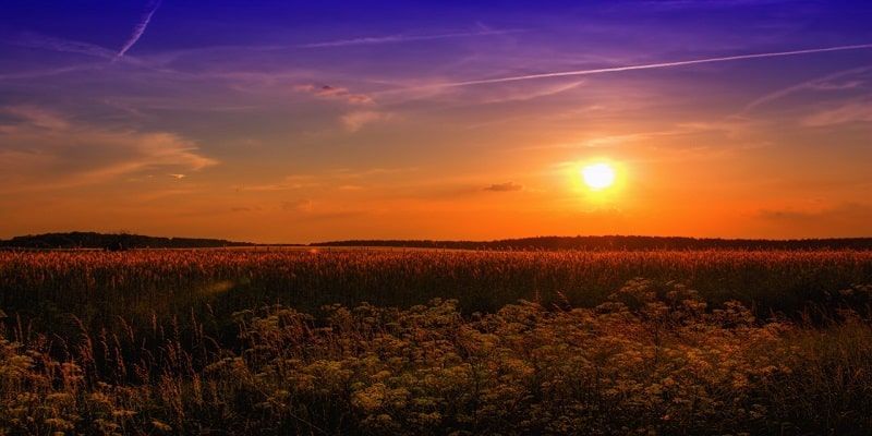 cremation service in Glenview, IL