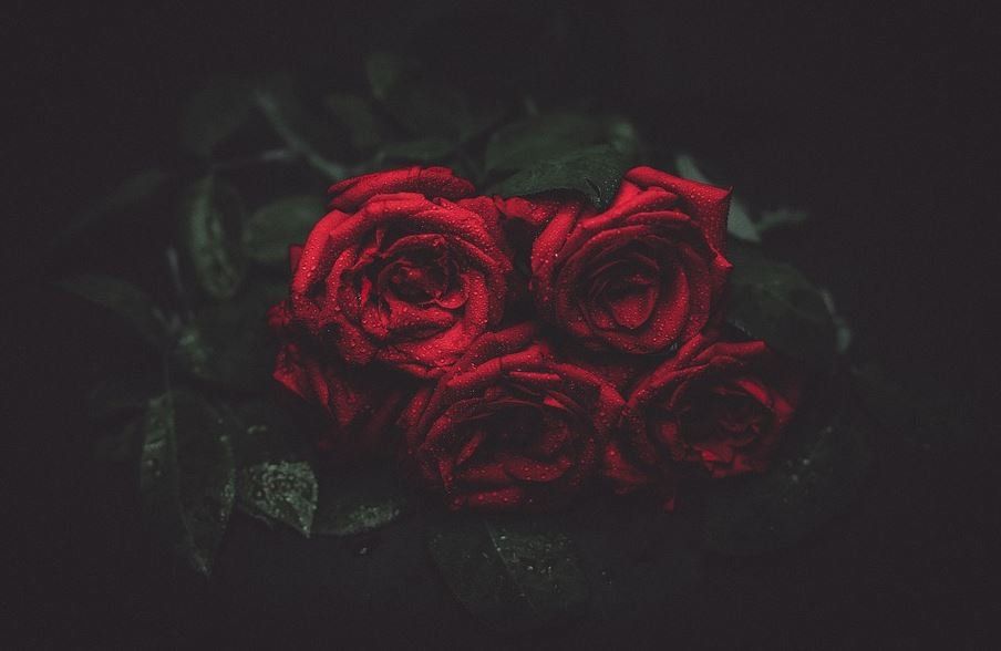cremation services in Chicago, IL
