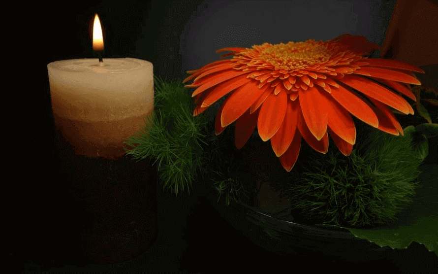 cremation services in Chicago, IL