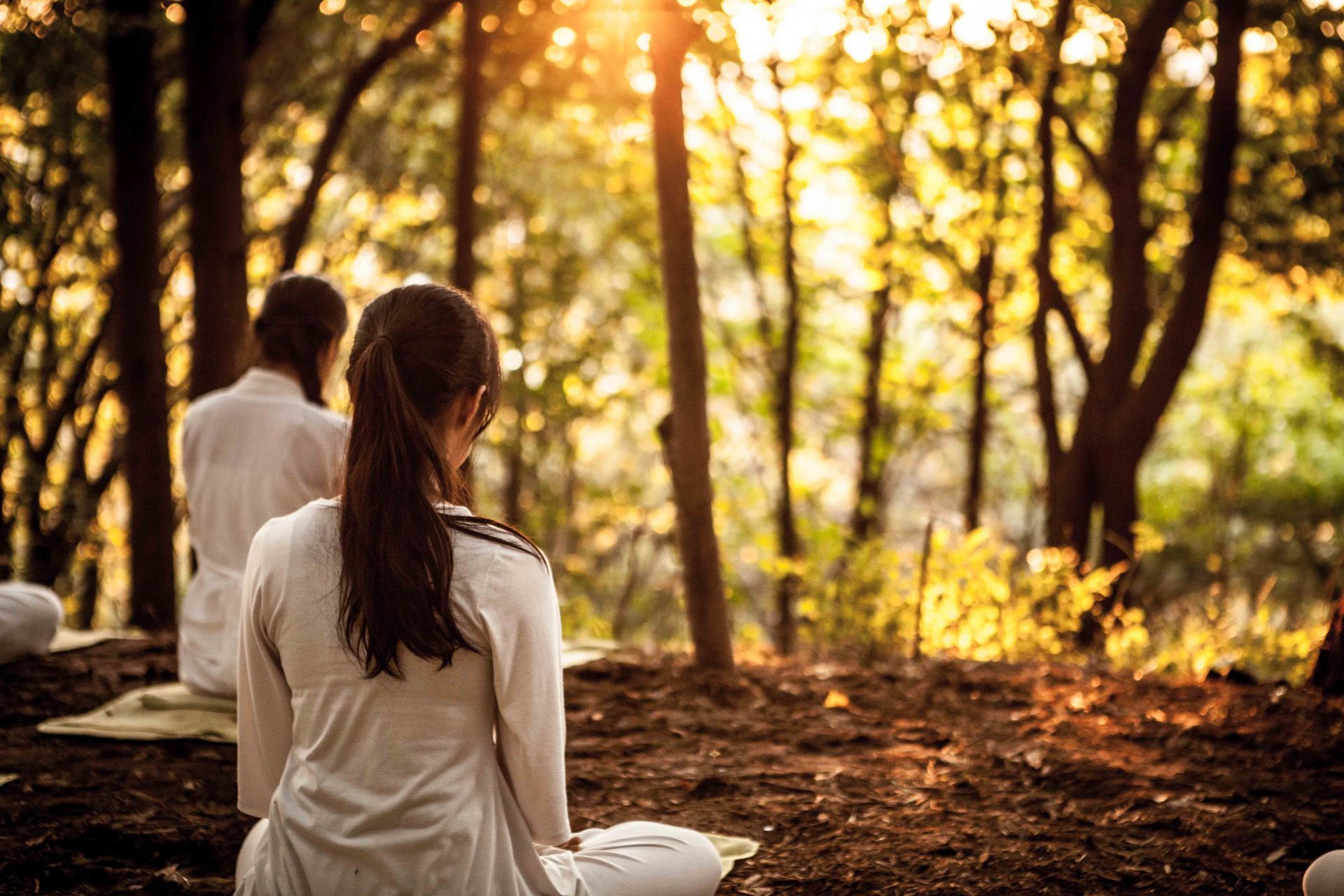 Two people sitting on a blanket in a sunlit autumn forest, facing away among tall trees.
