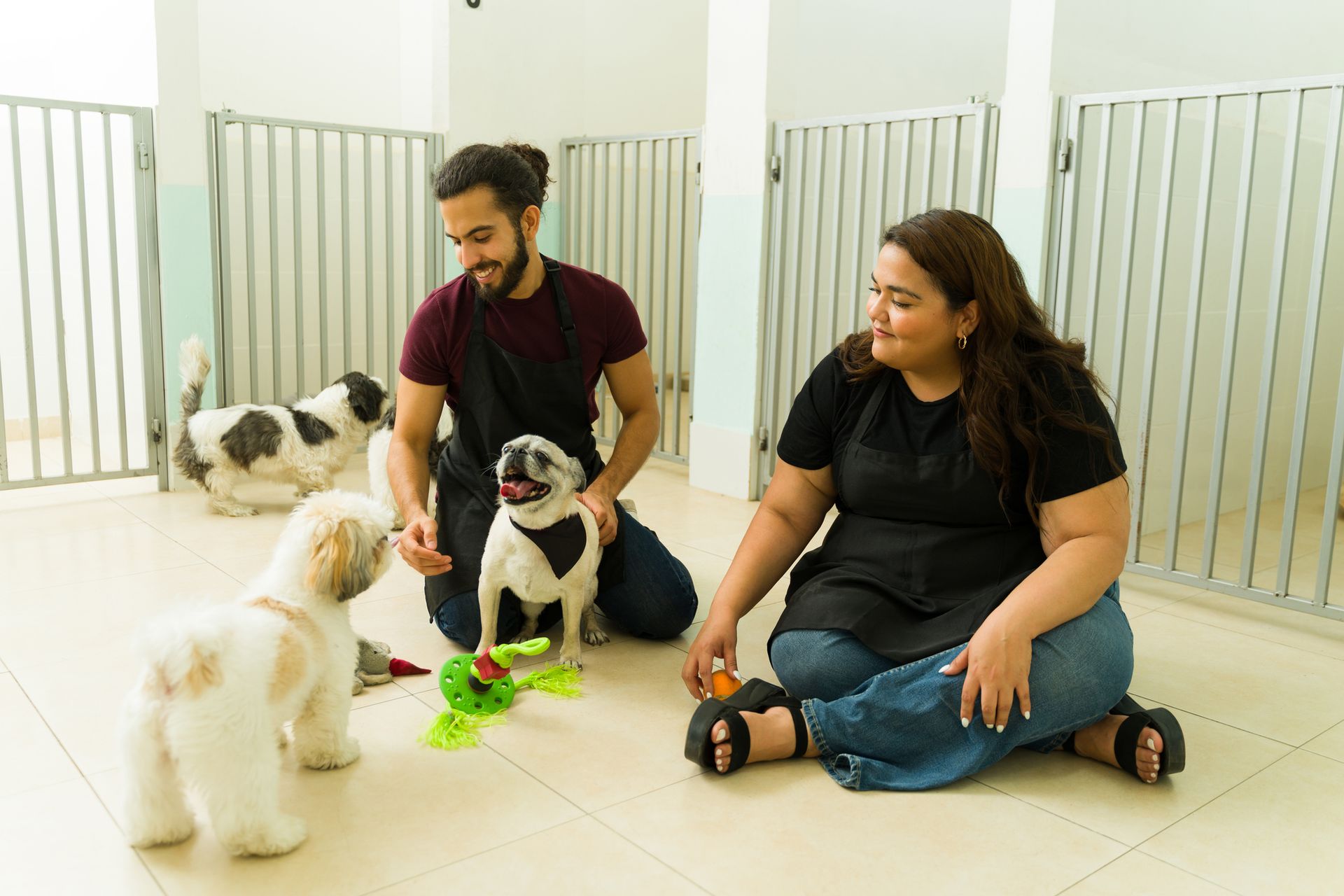 A man and a woman are sitting on the floor with their dogs.