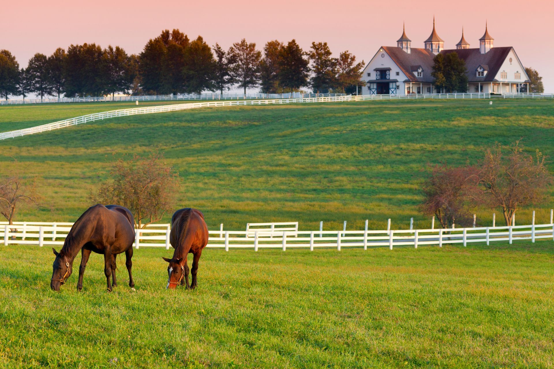 Two horses graze in a green field near a white fence and farmhouse at sunset.