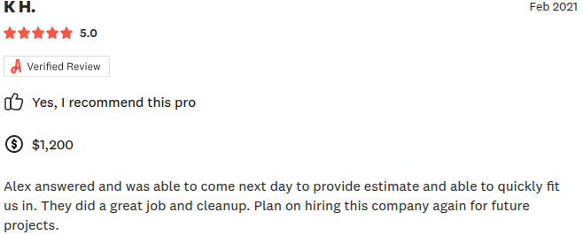 Review of a pro; 5-star rating, verified review, recommends pro, cost $1,200, good job and cleanup.