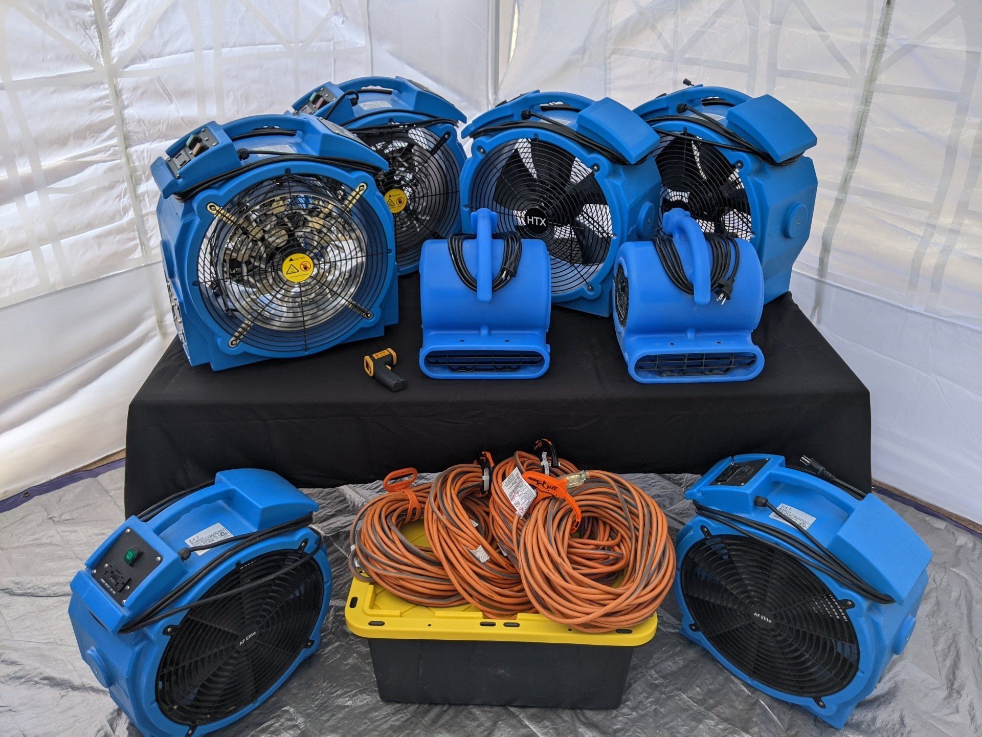 A bunch of blue fans are sitting on a table
