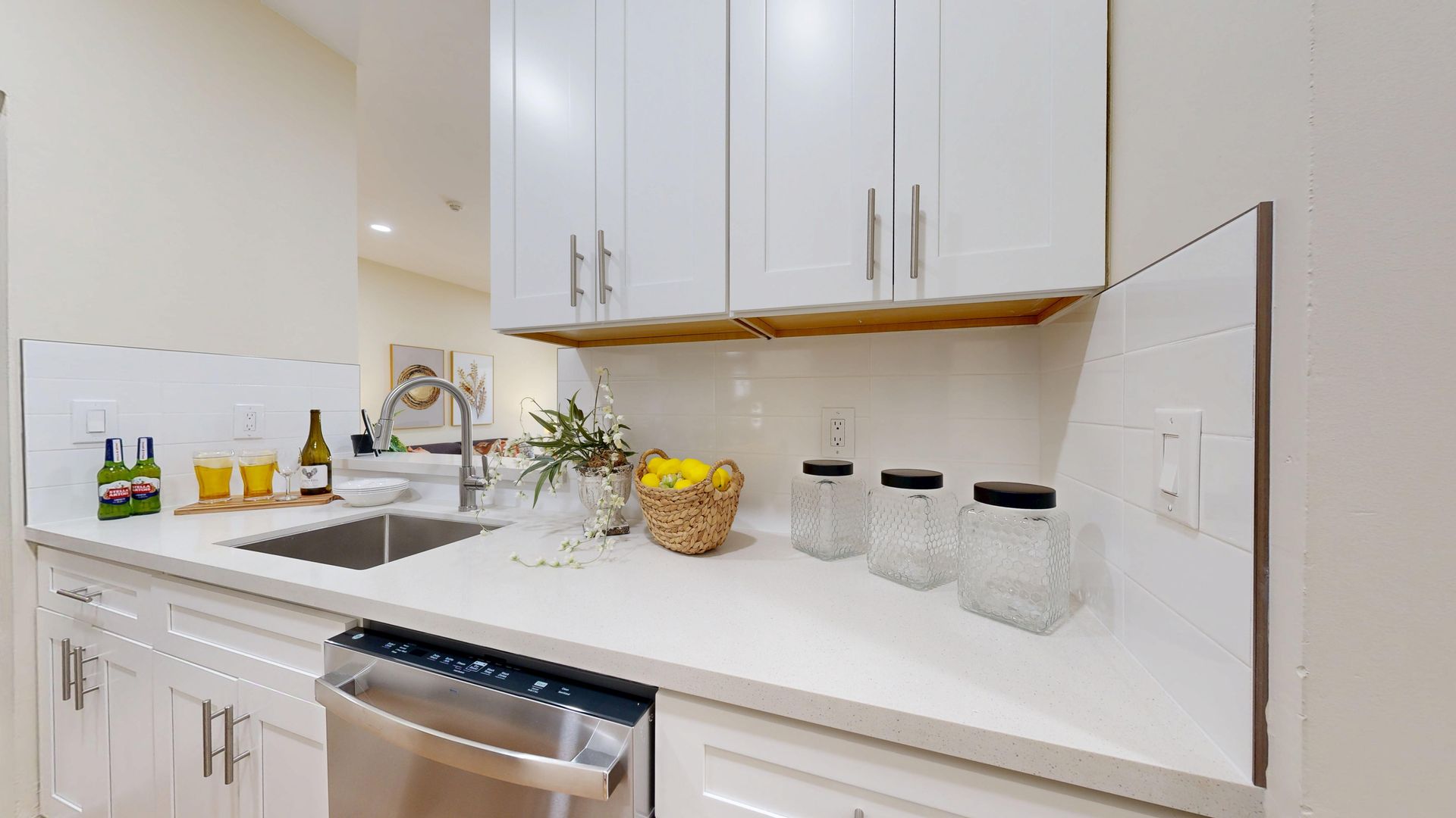 sink dishwasher