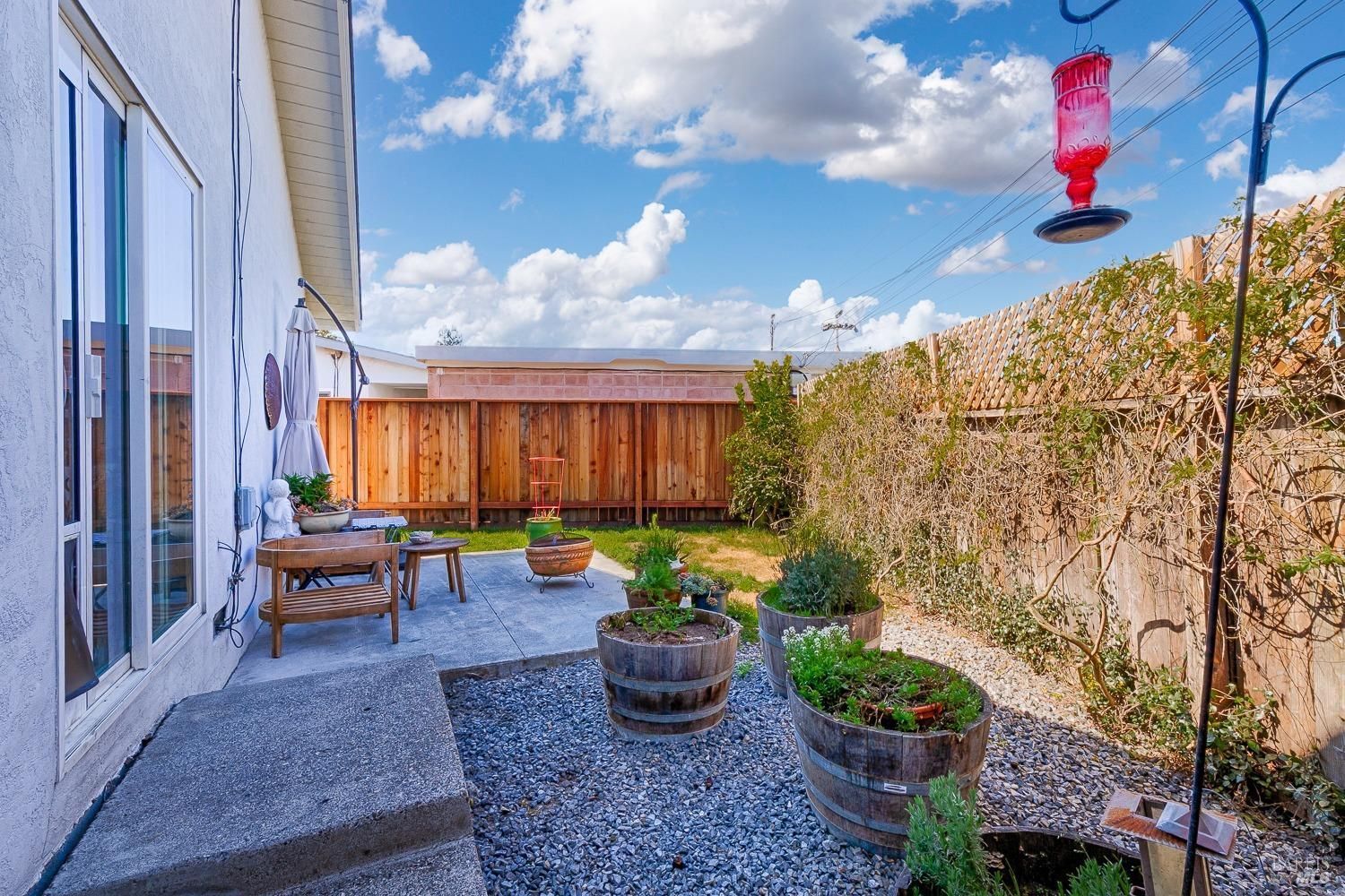 back yard