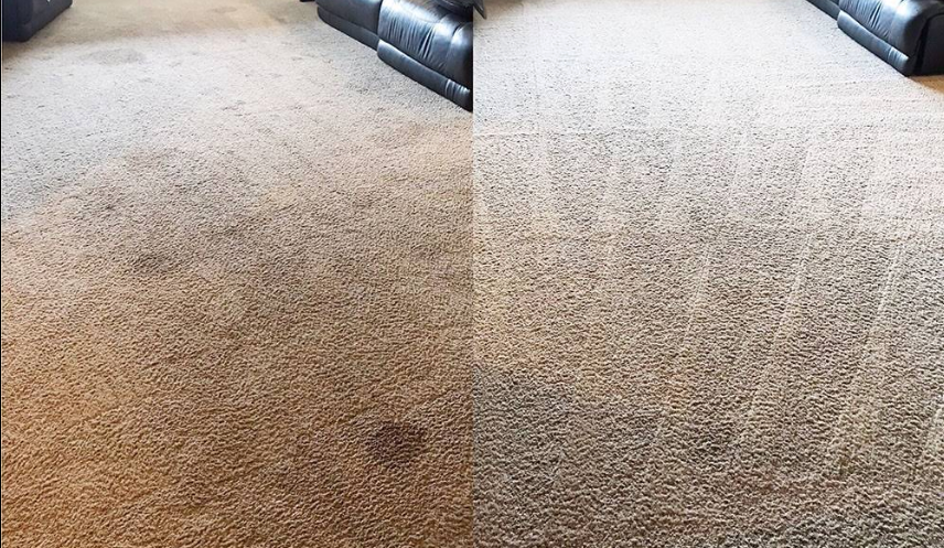 Steam cleaning a beige carpet, stain removal