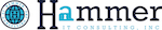 Hammer IT Consulting, Inc.