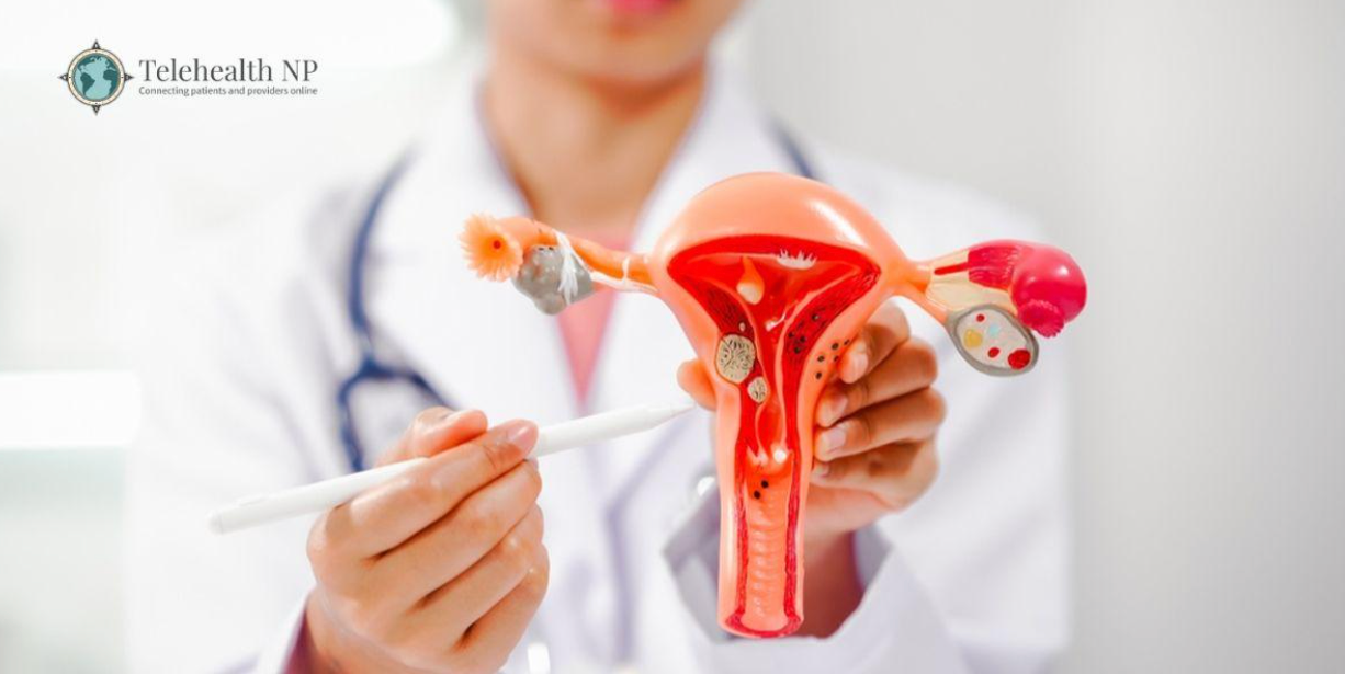 Doctor holding a model of a female reproductive system. The doctor points with a stick at the anatomy.