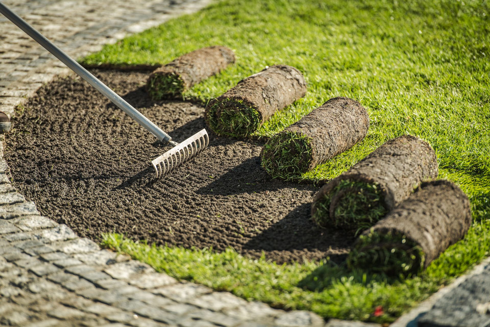 Garden rake leveling soil beside rolled sod on a grassy lawn edge