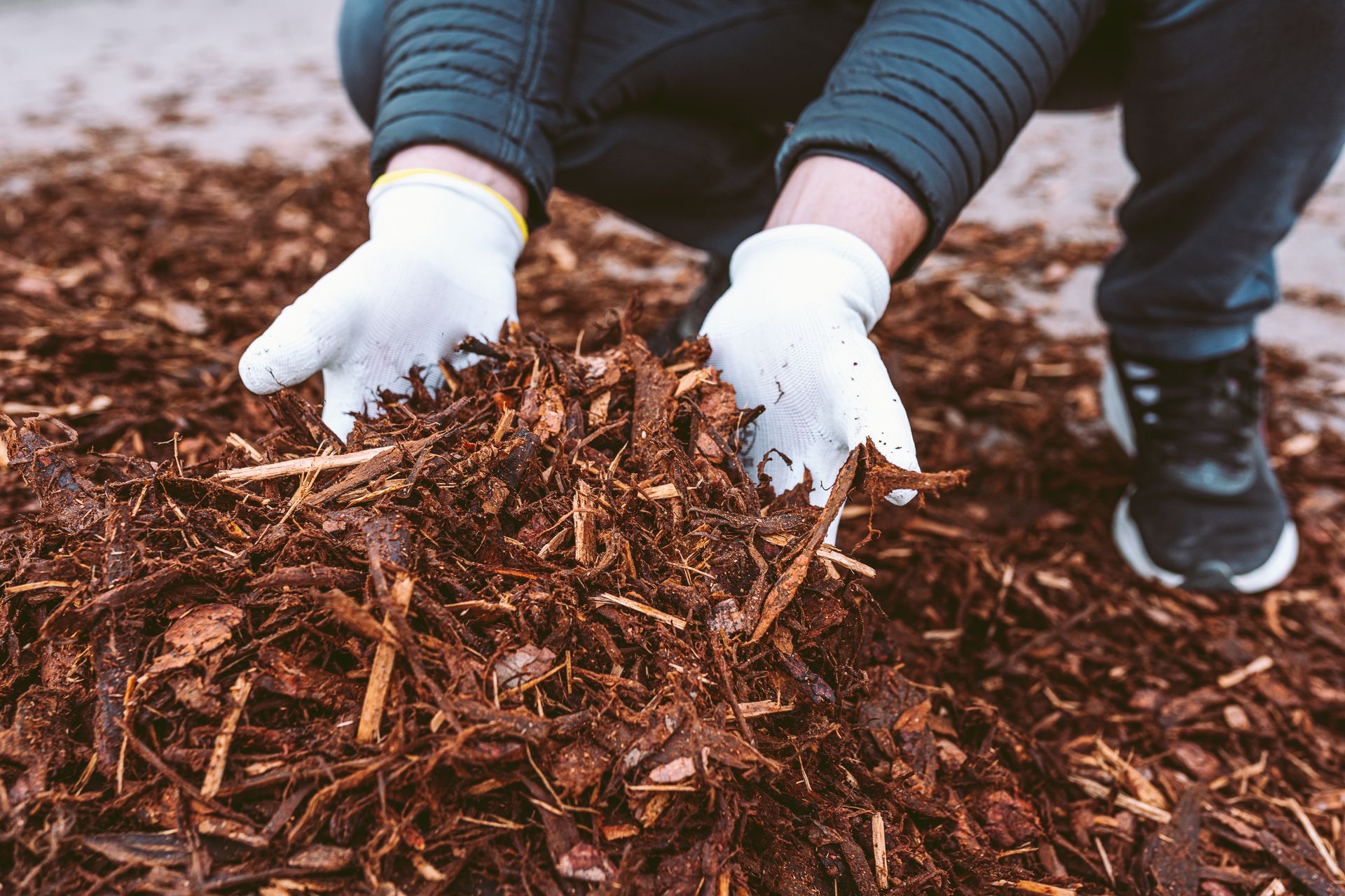 Gloved hands spreading mulch over soil in a garden bed, with a person kneeling nearby