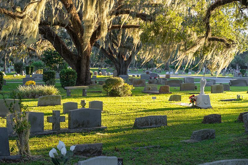 Sunlit cemetery with headstones and large trees draped in Spanish moss.