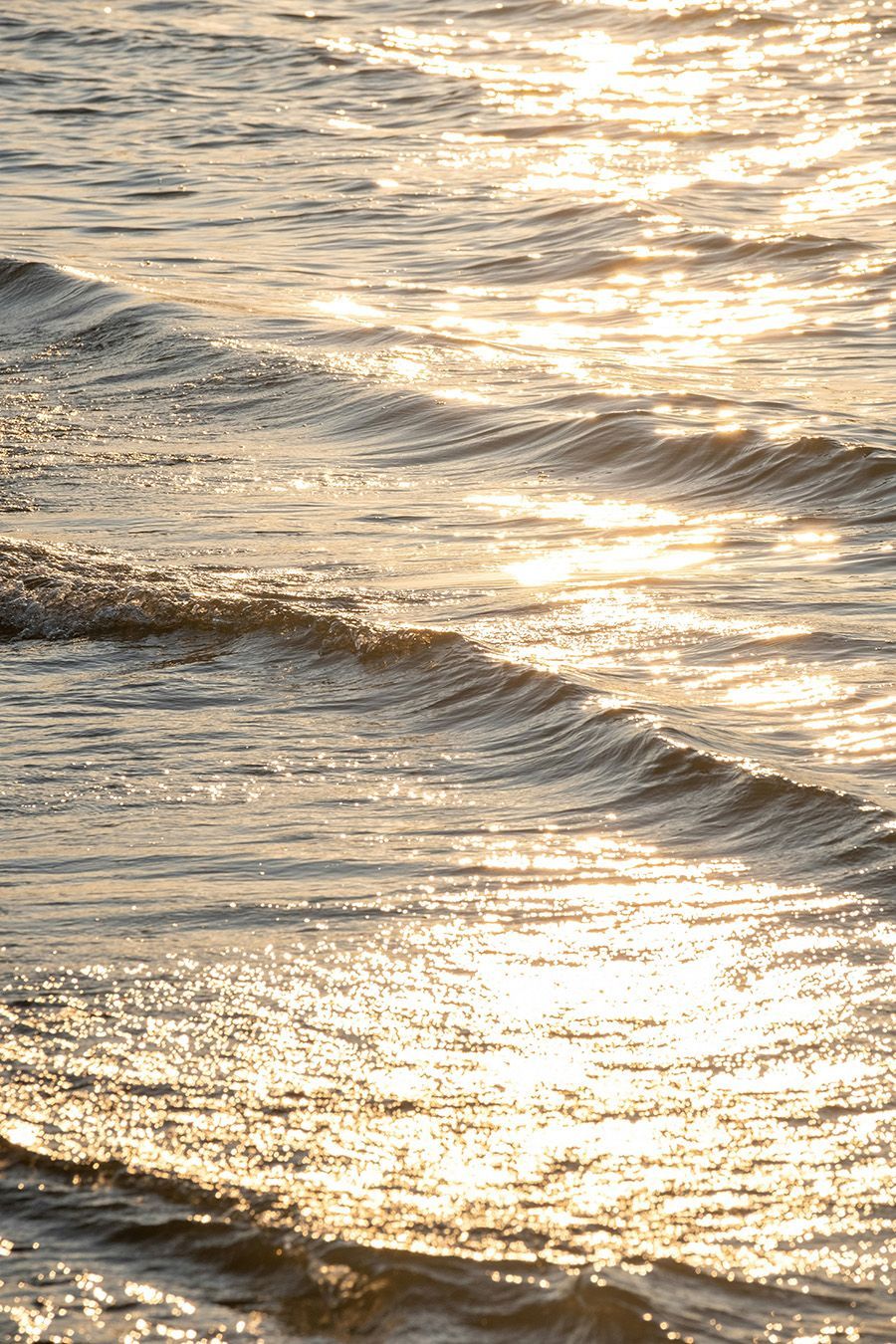 Waves on water shimmering with golden sunlight.