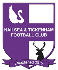 nailsea logo