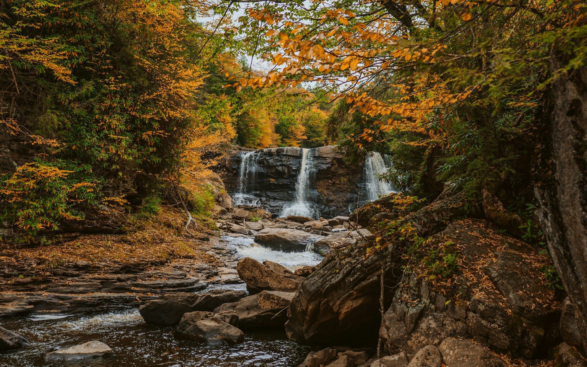 Autumn forest waterfall over rocky stream, framed by orange and green foliage