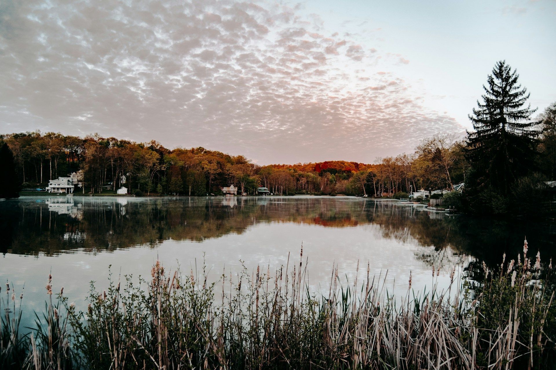 Calm lake at dusk reflecting autumn trees and a cloudy sky, with reeds in the foreground