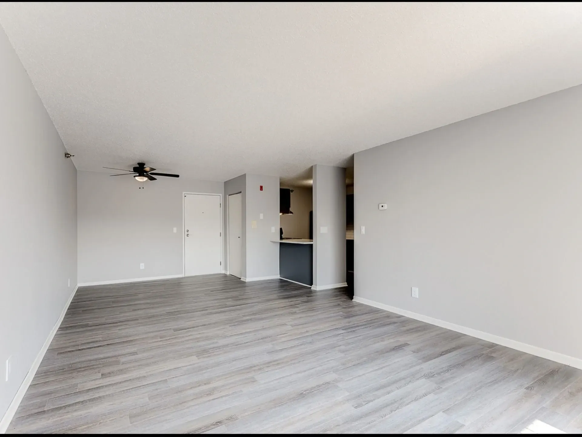 Living room and kitchen area with gray walls and wood-look flooring.