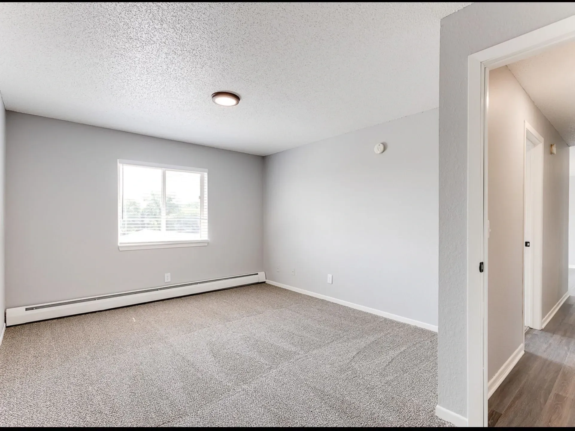 Empty apartment bedroom with neutral carpet and walls, and a single window.