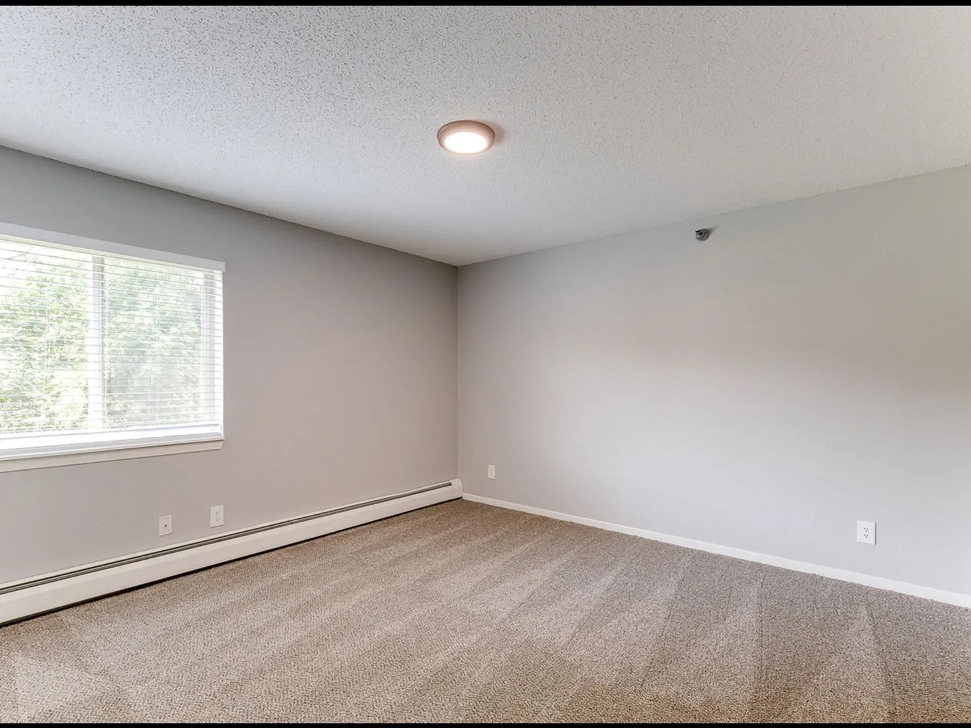 Empty bedroom with neutral walls, carpet, and a large window.