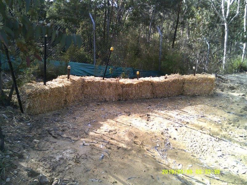 Fencing work