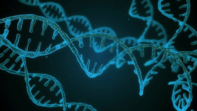 biohacking