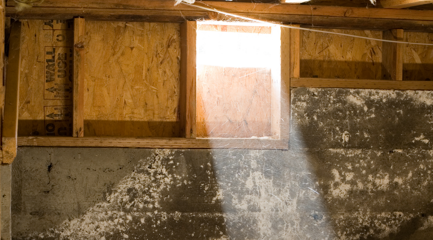 Crawl Space clean out