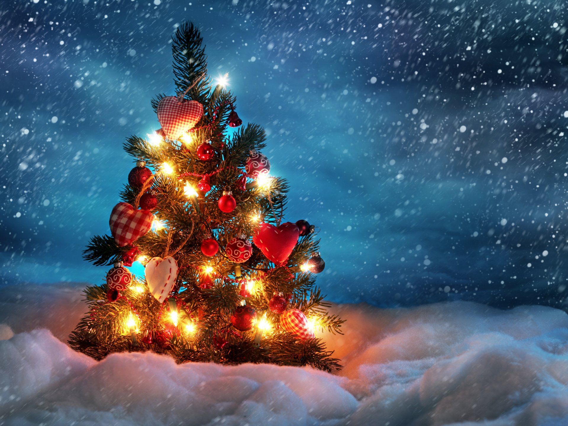 Fiori stabilizzati natale Milano 2023