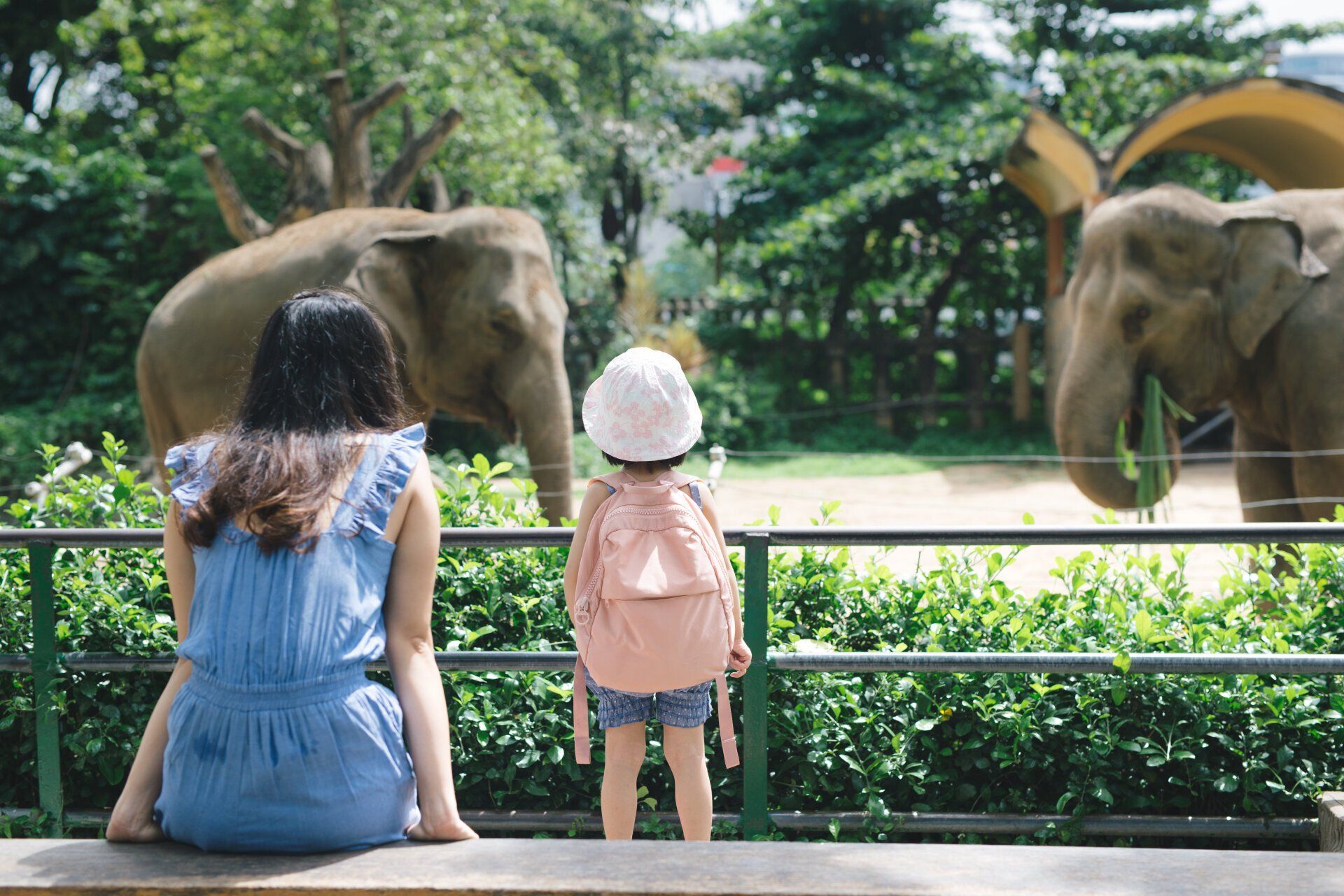 mother and daughter at the zoo marctran © 123rf