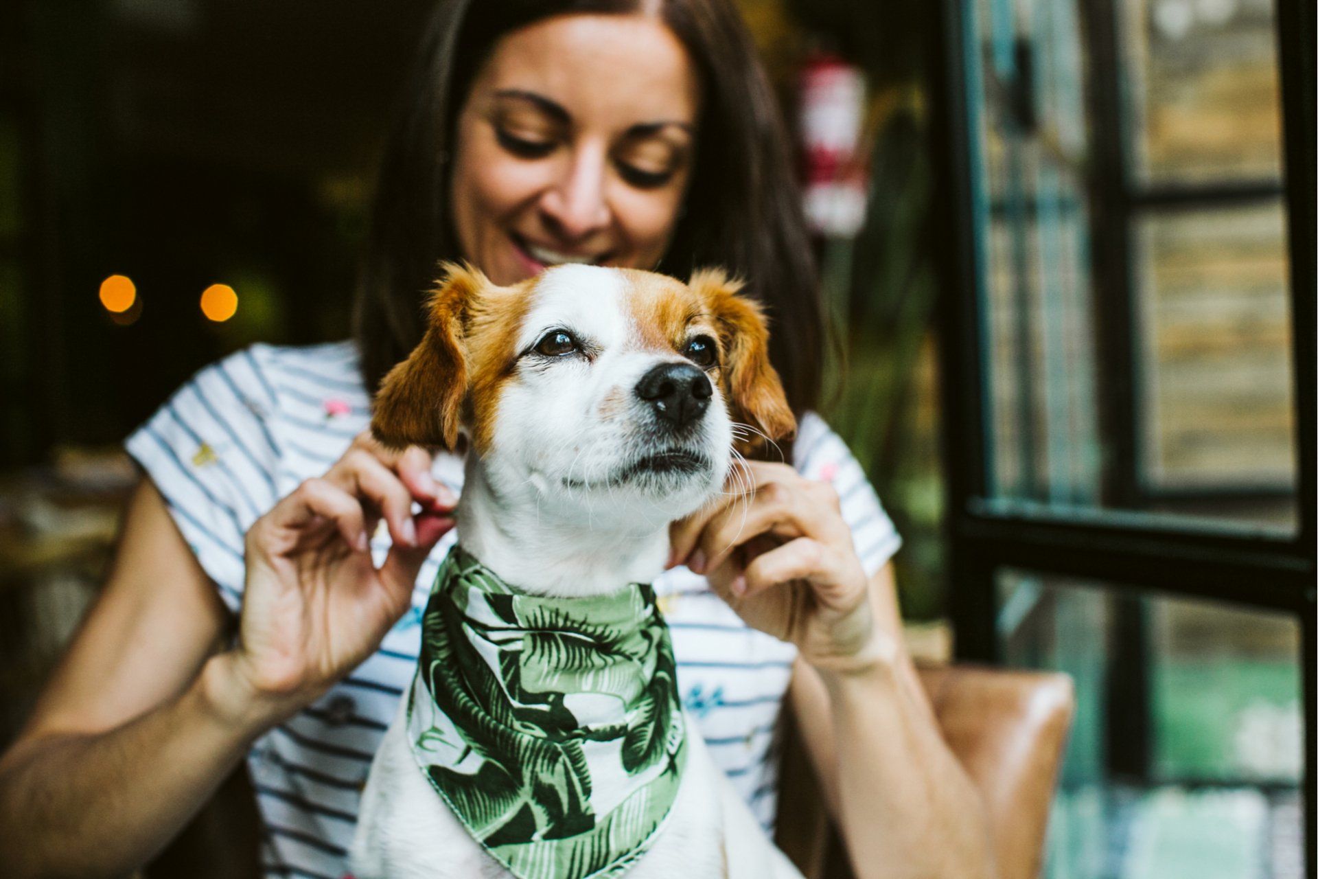 Pet-friendly restaurants near Birmingham